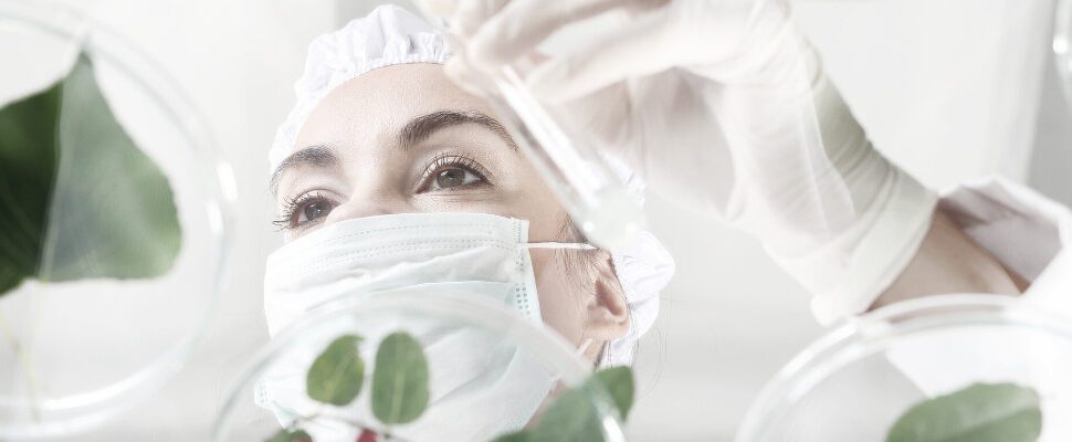 Biotechnologia – opis kierunku